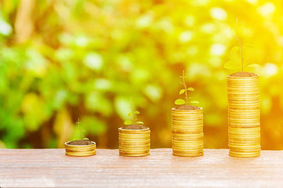 八字如何看一个人的财富等级