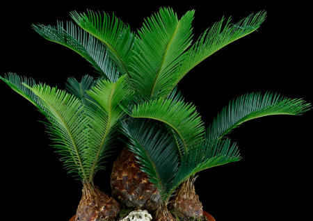 最近很倒霉要怎样改运