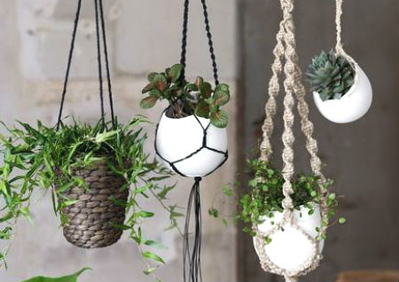 属牛人办公室风水布局(属牛的人办公室风水如何布局?)