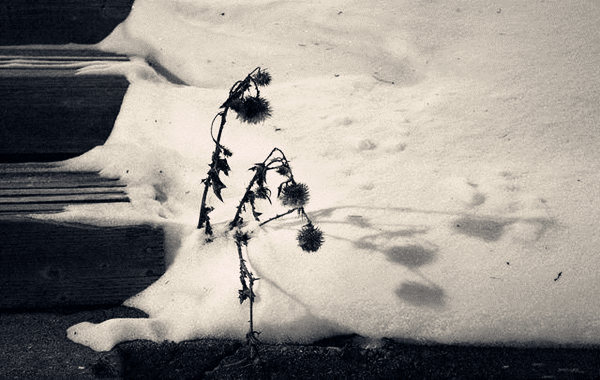 八字测能不能当官