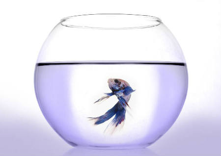 别墅客厅风水饰品摆放风水