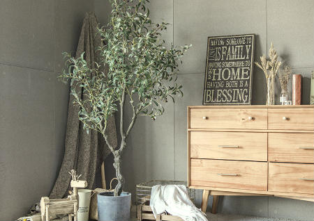 卧室植物放置风水禁忌