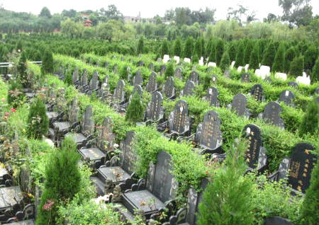 八字伤官生财格的喜忌