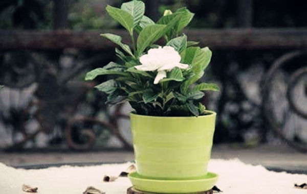 什么样的房子越住越有钱(什么样的房子越住越有钱呢)