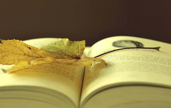 八字伤官被财星合化好吗