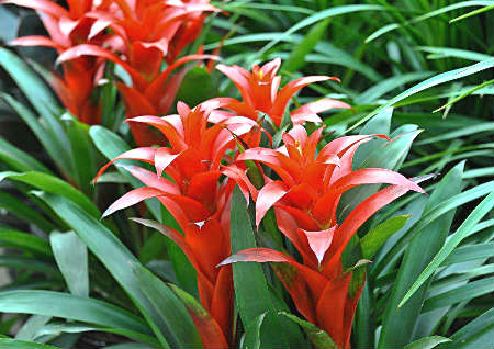 ​客厅阳台如何布局风水好