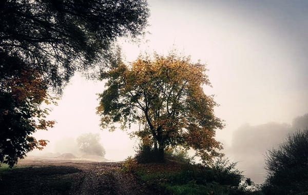 八字定五行干支旺衰