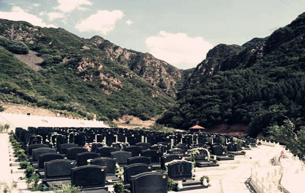 数学家的命理八字,有音乐天赋的八字