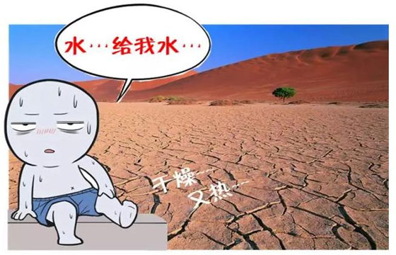 金水伤官居多的好八字