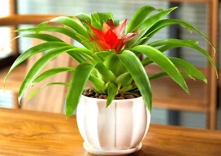 鸿运当头的风水禁忌