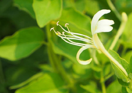 书房风水格局如何安排（书房风水格局如何安排房间）