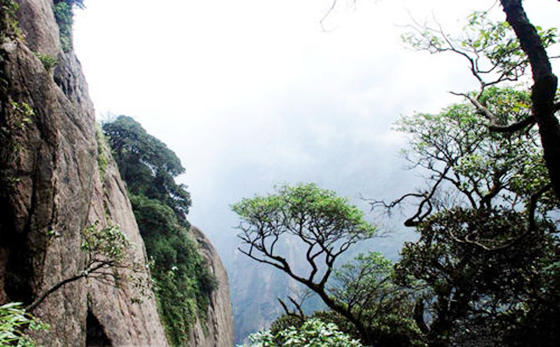 盲派八字看环境秘诀