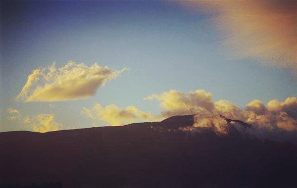 什么是伤官透干