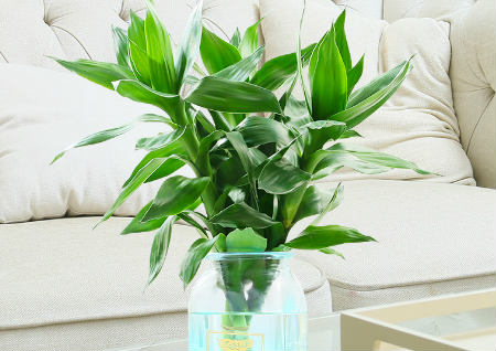 壬水怕的是什么（壬水怕啥）