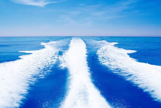 晚年无儿无女的女人面相(晚年无儿无女的女人面相特征)