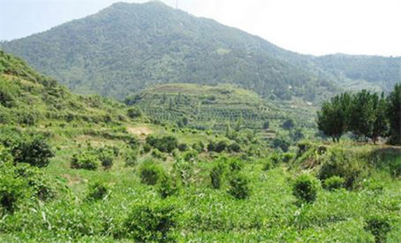 ​有哪些出自古诗词诗经寓意好的男孩名字