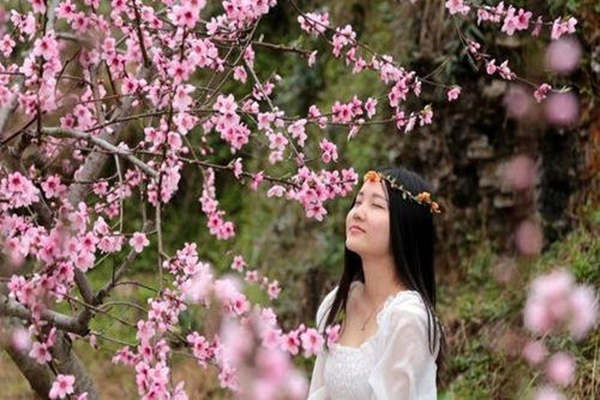 有才气的女命八字（有才气的女命八字命理）