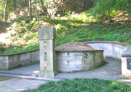 属鼠的人办公室风水布局(2023年属鼠人办公室风水)