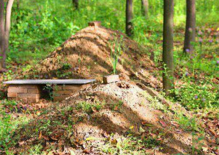 坟墓周围的长树风水好吗