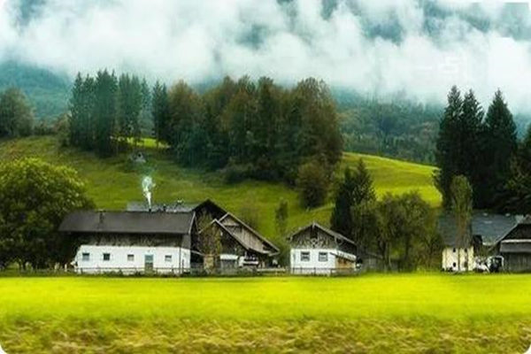 八字什么是印旺的格局