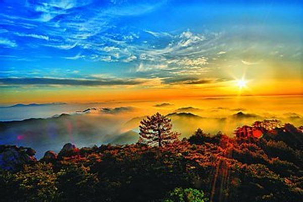 ​常用八字十神的组合