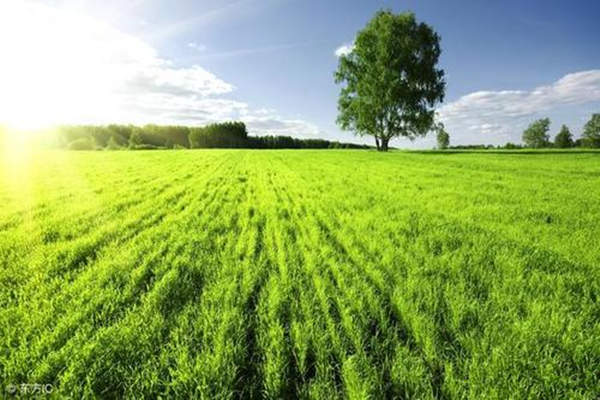 八字比劫夺财的命理特征