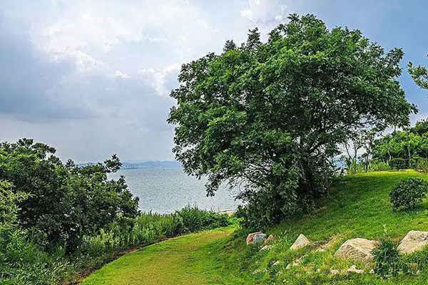 八字分析寿命长短技巧