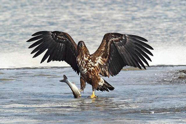 夫妻五行相克怎么化解(五行相克的人能结婚吗)