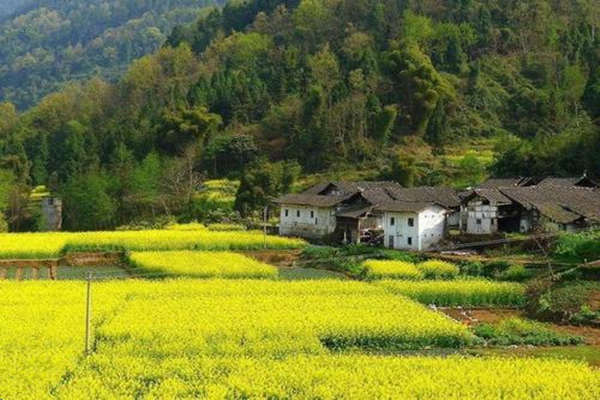 八字的喜用神与忌神找法详解