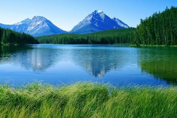 一生光棍的八字特征