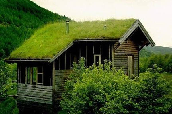 男命伤官太旺什么意思（男命伤官太旺什么意思啊）