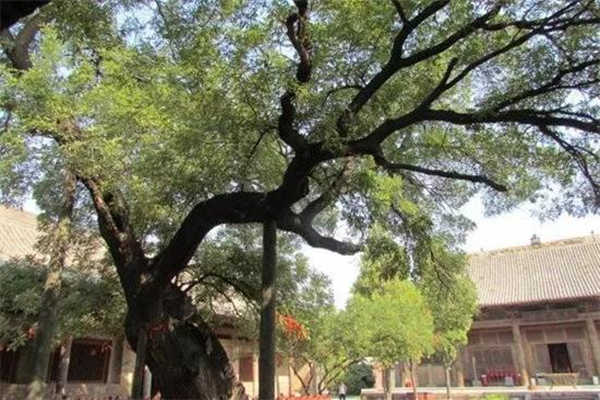 抑郁症的八字特征