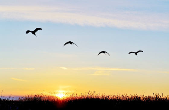 盲派八字看命运口诀详解