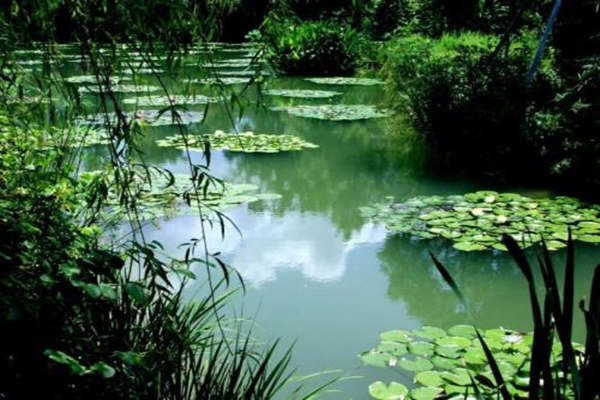 老祖宗批八字流年吉凶决