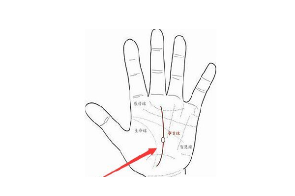 旺财办公室放什么画(旺财办公室放什么画风水好)