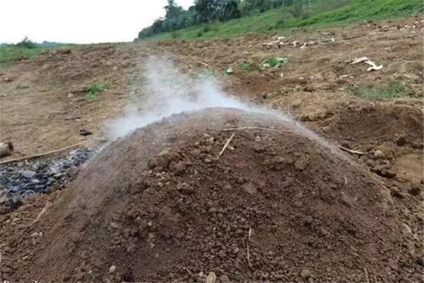 发富如虎的祖坟风水