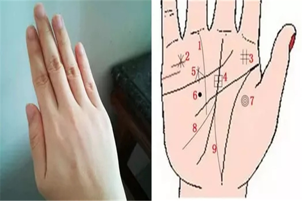 命好的女人手相特征