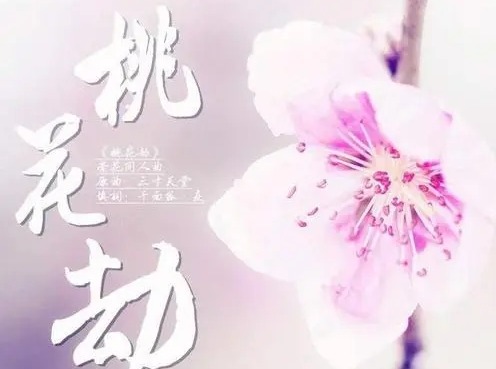 引起桃花劫风水布局