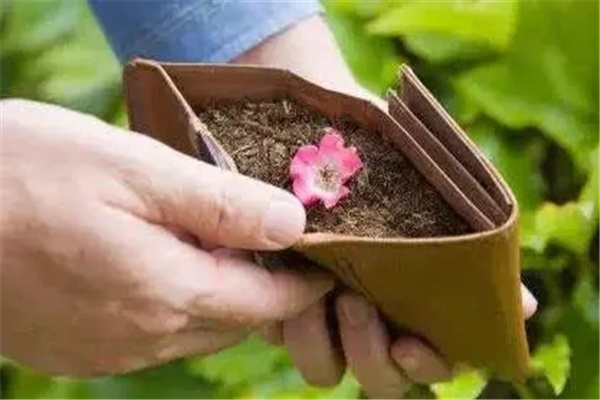 家里破财的风水有哪些