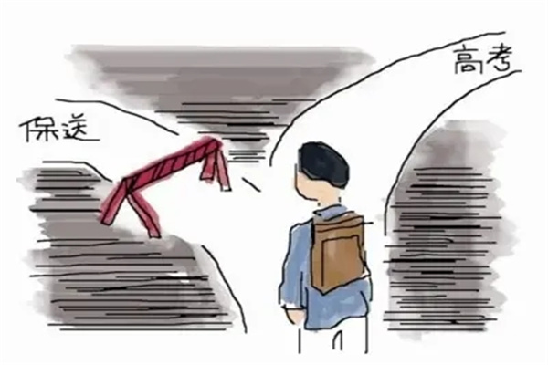 事业型女强人八字（事业型的女强人）