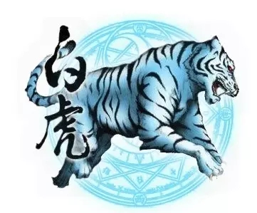八字中的白虎煞什么含义