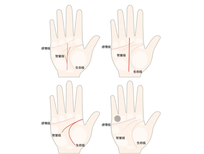 事业一帆风顺的手相