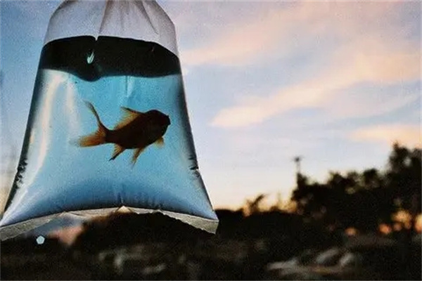 找人改命真的有效吗