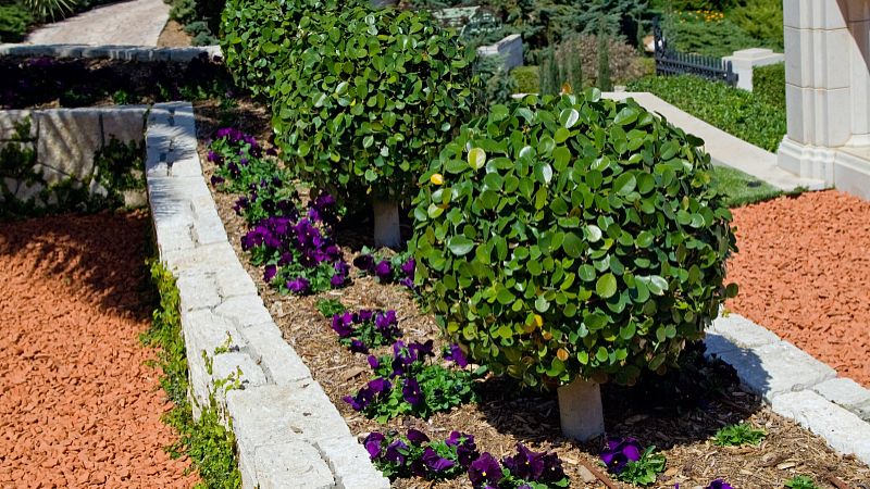 公墓好风水选择要点