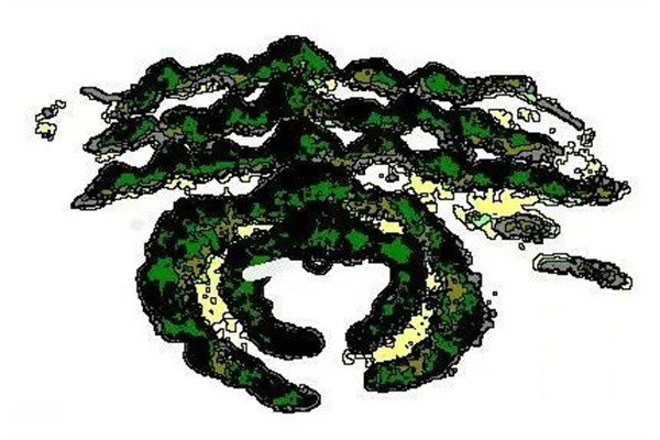 阴宅风水中水的分类