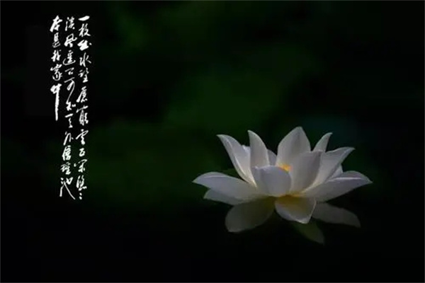 六爻动灾祸技巧