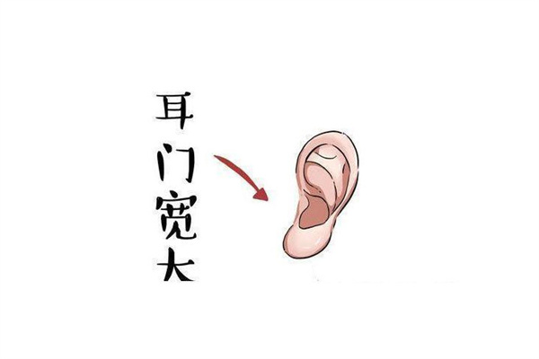 耳朵特征看是否富贵