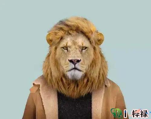 不怒自威的男人面相