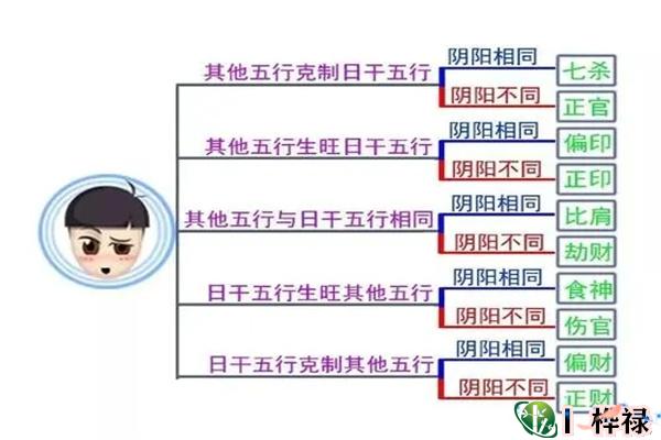 八字十神与日干的关系解读