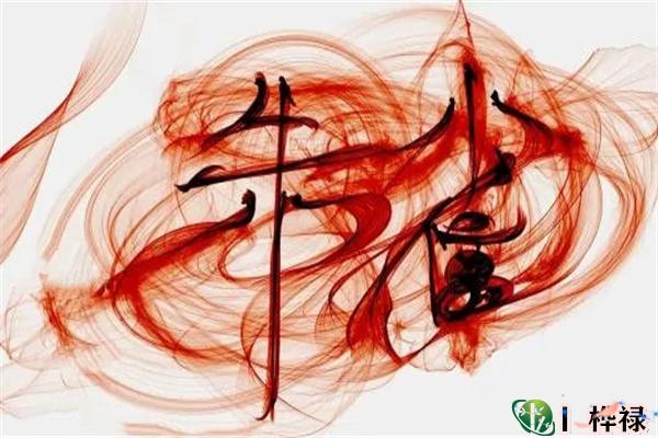 六爻朱雀代表的性格象义